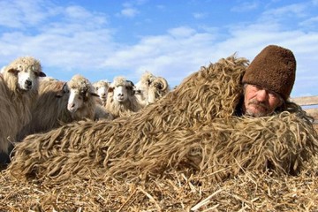 «Энергонезависимый» Каменец-Подольский научит Украину греться соломой