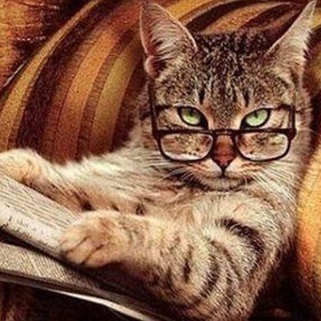 Разговор с котом