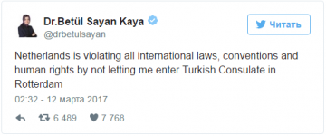 Нидерланды объявили турецкого министра "нежелательным иностранцем"