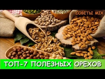 ТОП-7 самых полезных орехов: Питательные свойства для организма Виды орехов А ты знал?