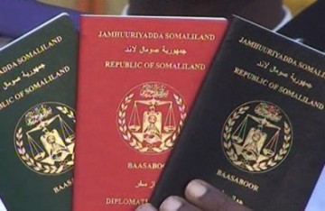 От Сомалиленда до ДНР: как признают непризнанные  паспорта: