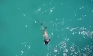 Попытку нападения акулы на ныряльщицу сняли на видео