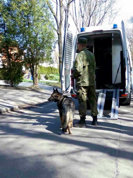 Хрюмберг дёрнул за кольцо... Хрюмберг дёрнул за кольцо...