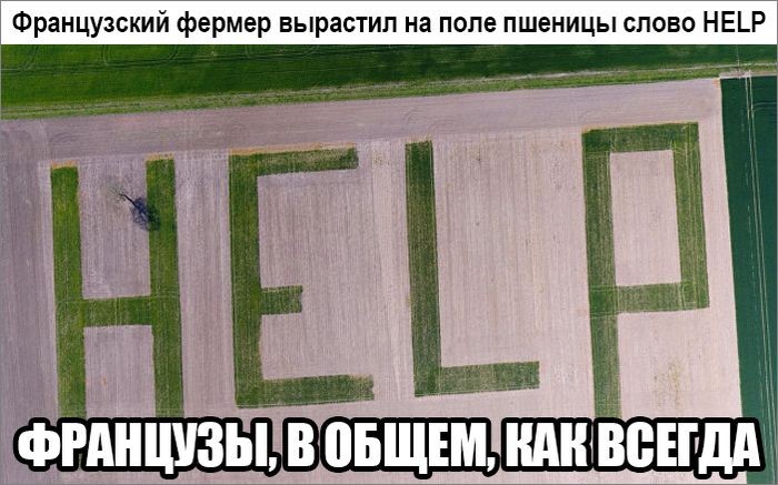 Мыздобулы. Картинки смешные и не очень. 15.04.2017