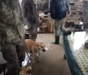 Будни самой сальной армии континента: Жизнь по колено в гуано.