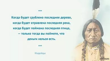 Мудрость индейского взгляда на мир. Мудрость индейского взгляда на мир.