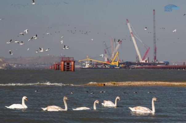 Крымские приключения укров. Зрады, перемоги... Ну и вообще познавательно. Крымские приключения укров. Зрады, перемоги... Ну и вообще познавательно.