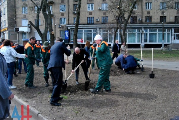 Полсотни деревьев высажено на аллее дружбы «Донецку от Липецка» в центре столицы ДНР