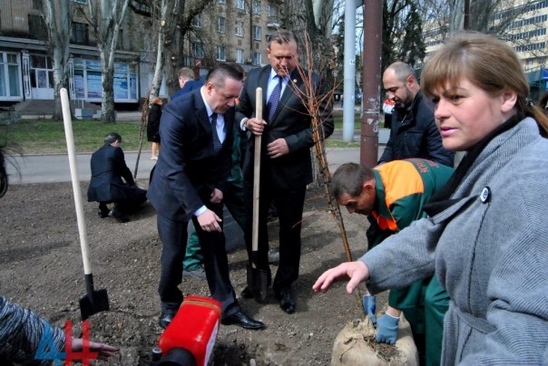 Полсотни деревьев высажено на аллее дружбы «Донецку от Липецка» в центре столицы ДНР