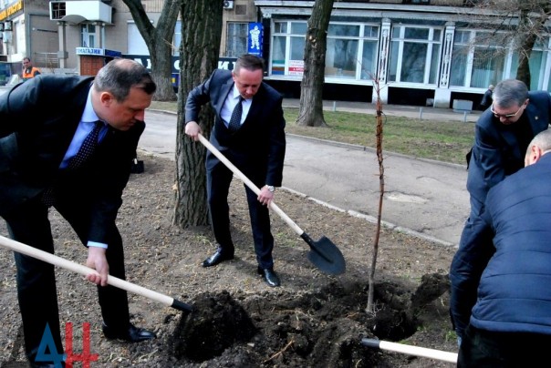 Полсотни деревьев высажено на аллее дружбы «Донецку от Липецка» в центре столицы ДНР