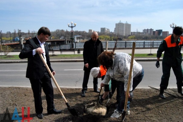 Полсотни деревьев высажено на аллее дружбы «Донецку от Липецка» в центре столицы ДНР