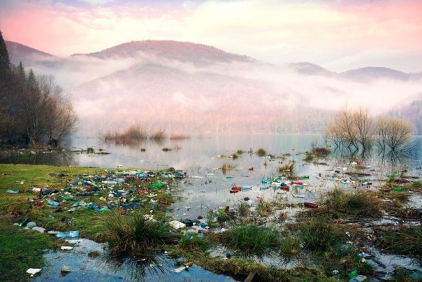 Карпаты. Красота то какая. Из цикла естественная среда обитания...