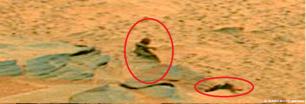 NASA обнаружило автобусную остановку на Марсе NASA обнаружило автобусную остановку на Марсе