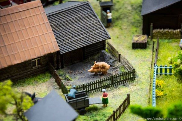 Вся Россия собрана в Питере Вся Россия собрана в Питере