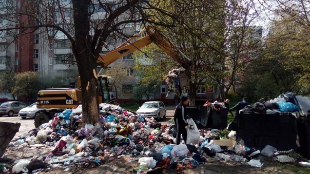 Цветение львовской сакуры