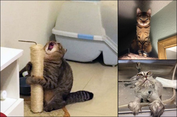 "Оскар" в студию!