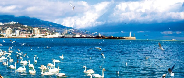 Крым преобразуется в российское Монако