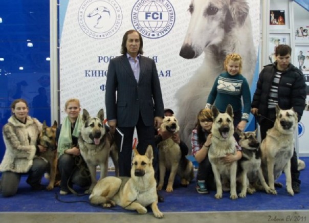 Абсурдные новости. 25 апреля 2017 года Абсурдные новости. 25 апреля 2017 года