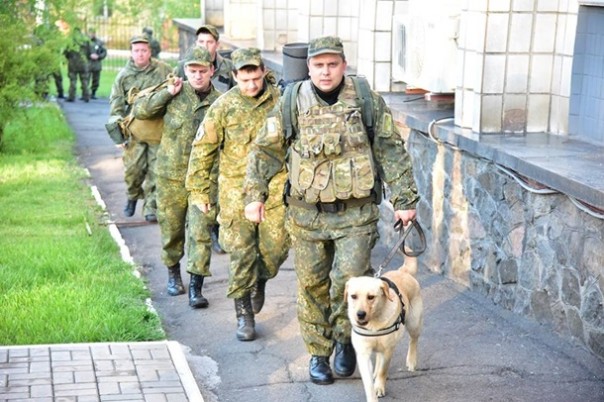 Курс на хаос