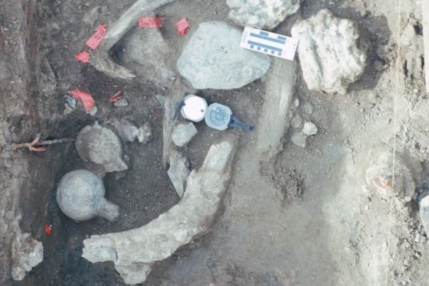 Подозреваю это были салопитеки: Первые люди попали в Америку уже 130 000 лет назад