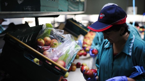 Украинские гастарбайтеры – драйвер польской экономики
