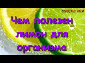 Топ-15 полезных свойств лимона. Неужели все так просто! А ты знал?