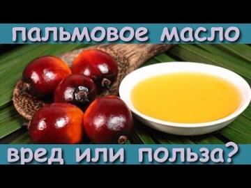 Вся правда о пальмовом масле: Вред и воздействие на организм - А ты знал?