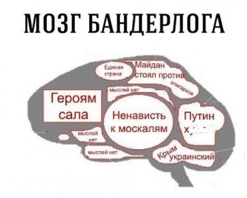 Мини-мыздобулы