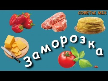 Как заморозить продукты: Простая заморозка в домашних условиях Как правильно это сделать?