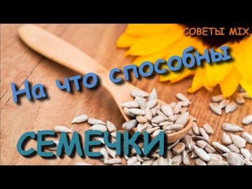Любопытные факты: Что будет если есть много семечек? Польза или вред - Все о подсолнечных семечках