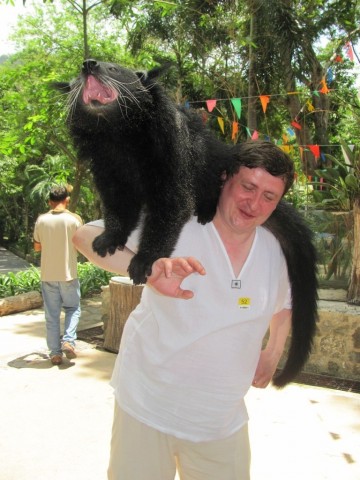 Бинтуронг - котомишка