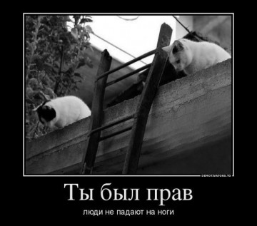 "Мыздобулы" в картинках. Смешных и не очень... 23.04.2017