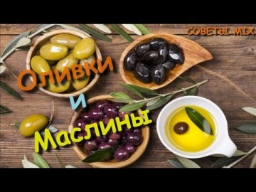 Все что нужно знать об оливках и маслинах: Польза и вред оливок. Разница маслин и оливок