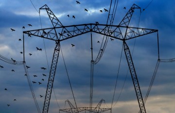 Введенная Киевом энергоблокада ЛНР провалилась