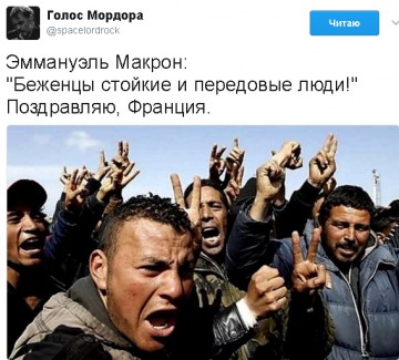 "Мыздобулы" в картинках. Смешных и не очень... 26.04.2017