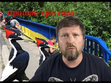 Двухцветные дятлы