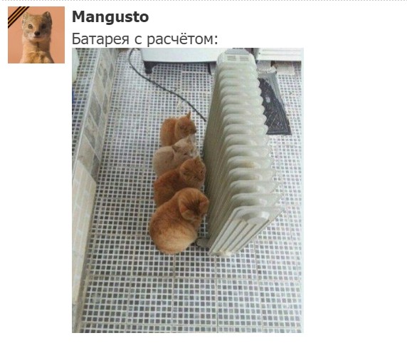 "Мыздобулы" в картинках. Смешных и не очень... 13.05.2017