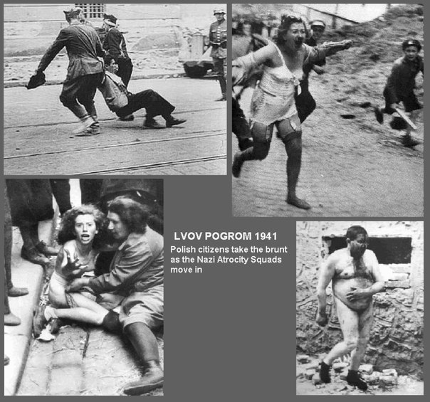 Авторитетный американский журнал обвинил Вятровича и его институт в фальсификации истории