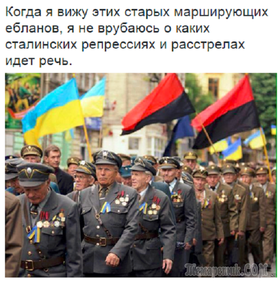 Авторитетный американский журнал обвинил Вятровича и его институт в фальсификации истории