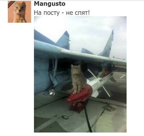 "Мыздобулы" в картинках. Смешных и не очень... 17.05.2017 "Мыздобулы" в картинках. Смешных и не очень... 17.05.2017