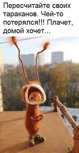 "Мыздобулы" в картинках. Смешных и не очень... 24.05.2017 "Мыздобулы" в картинках. Смешных и не очень... 24.05.2017