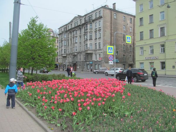 День города здорового человека. "Бал национальностей" Санкт-Петербург. Видео- Фоторепортаж День города здорового человека. "Бал национальностей" Санкт-Петербург. Видео- Фоторепортаж