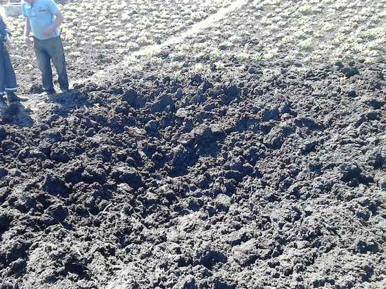 Сводка от НМ ЛНР 29 мая 2017. Укрофашисты обстреляли Первомайск, повреждены дома и хозпостройки