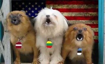 "Мыздобулы" в картинках. Смешных и не очень... 30.05.2017