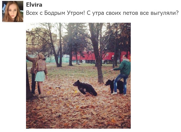 "Мыздобулы" в картинках. Смешных и не очень... 30.05.2017