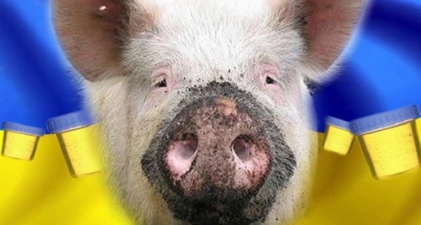 Штаты подсунули свинью ВСУ и Нацгвардии Украины