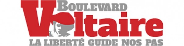 Boulevard Voltaire: Марин Ле Пен отстаёт от Макрона на несколько десятых процента