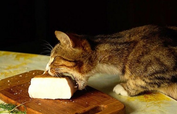 Кто-то что-то имеет против Украины???