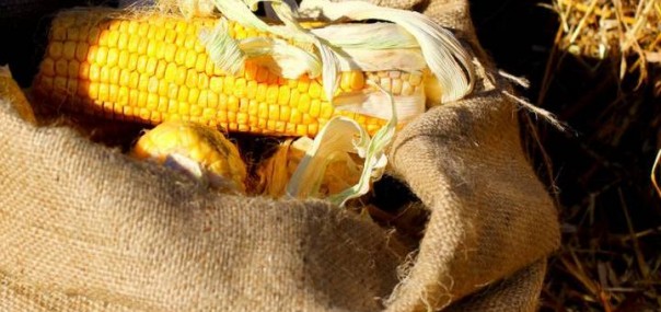 Евросоюз издевается над Украиной