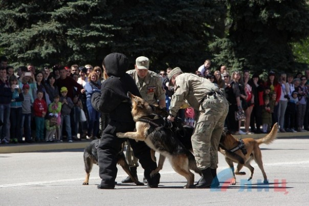 Глава ЛНР поздравил сотрудников МВД Республики с Днем Победы и вручил краповые береты